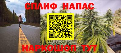 прущие грибы Краснодар
