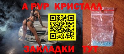 прущие грибы Краснодар