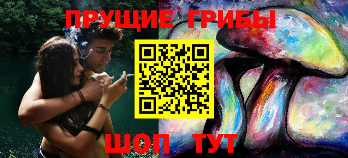 Кириши  Псилоцибиновые грибы GOLDEN TEACHER  где продают наркотики  Вход с VPN 